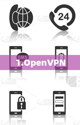 1.OpenVPN