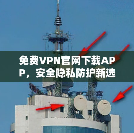 免费VPN官网下载APP，安全隐私防护新选择