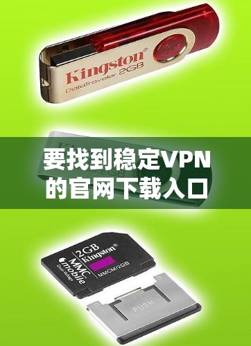 要找到稳定VPN的官网下载入口，可以按照以下步骤操作