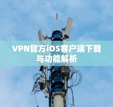 VPN官方iOS客户端下载与功能解析