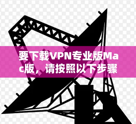要下载VPN专业版Mac版，请按照以下步骤操作