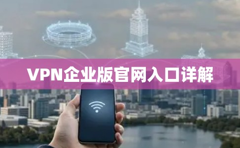 VPN企业版官网入口详解