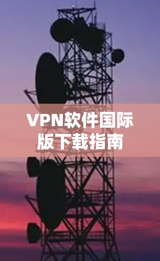 VPN软件国际版下载指南