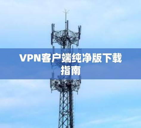 VPN客户端纯净版下载指南