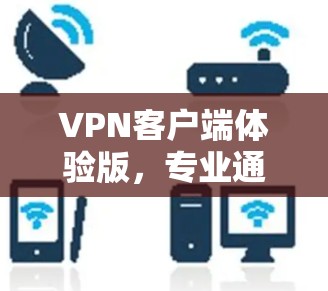 VPN客户端体验版，专业通讯解决方案