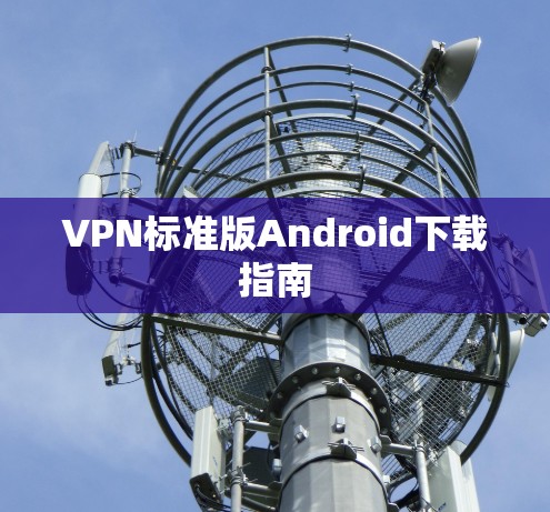 VPN标准版Android下载指南