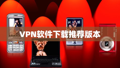 VPN软件下载推荐版本