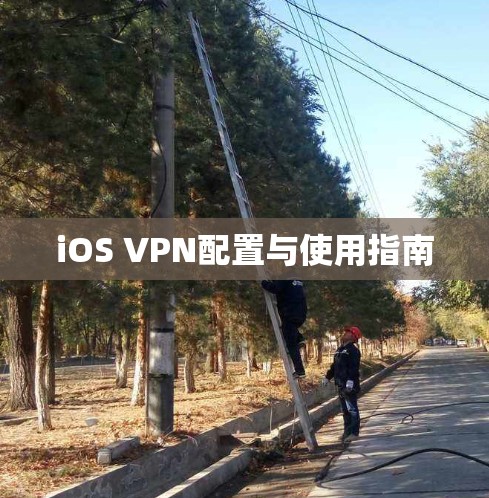 iOS VPN配置与使用指南