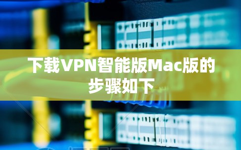 下载VPN智能版Mac版的步骤如下