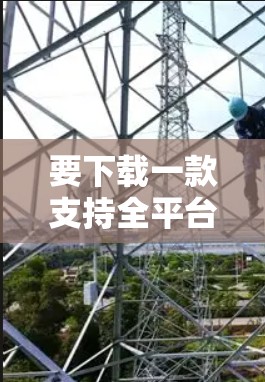 要下载一款支持全平台的VPN软件，您可以选择以下几款知名的VPN服务之一，它们都提供跨平台的支持