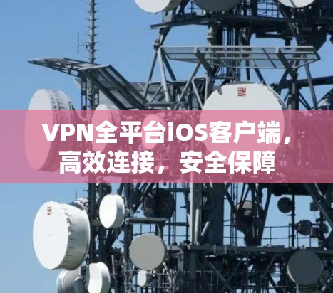 VPN全平台iOS客户端，高效连接，安全保障