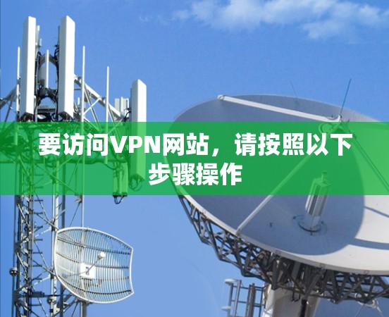 要访问VPN网站，请按照以下步骤操作