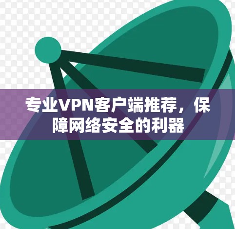 专业VPN客户端推荐，保障网络安全的利器