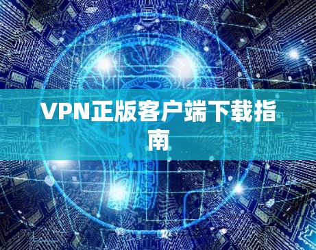 VPN正版客户端下载指南